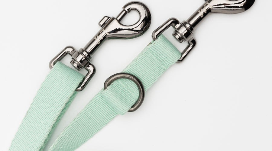 Top 5 Tips for Using Your Dog Leash Effectively: Enhance Your Dog Walking Experience