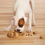 Nina Ottosson Dog Smart Level 1 (Easy)