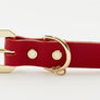 The Golden Spike Red Collar
