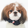 SP Navy Form-Scarf