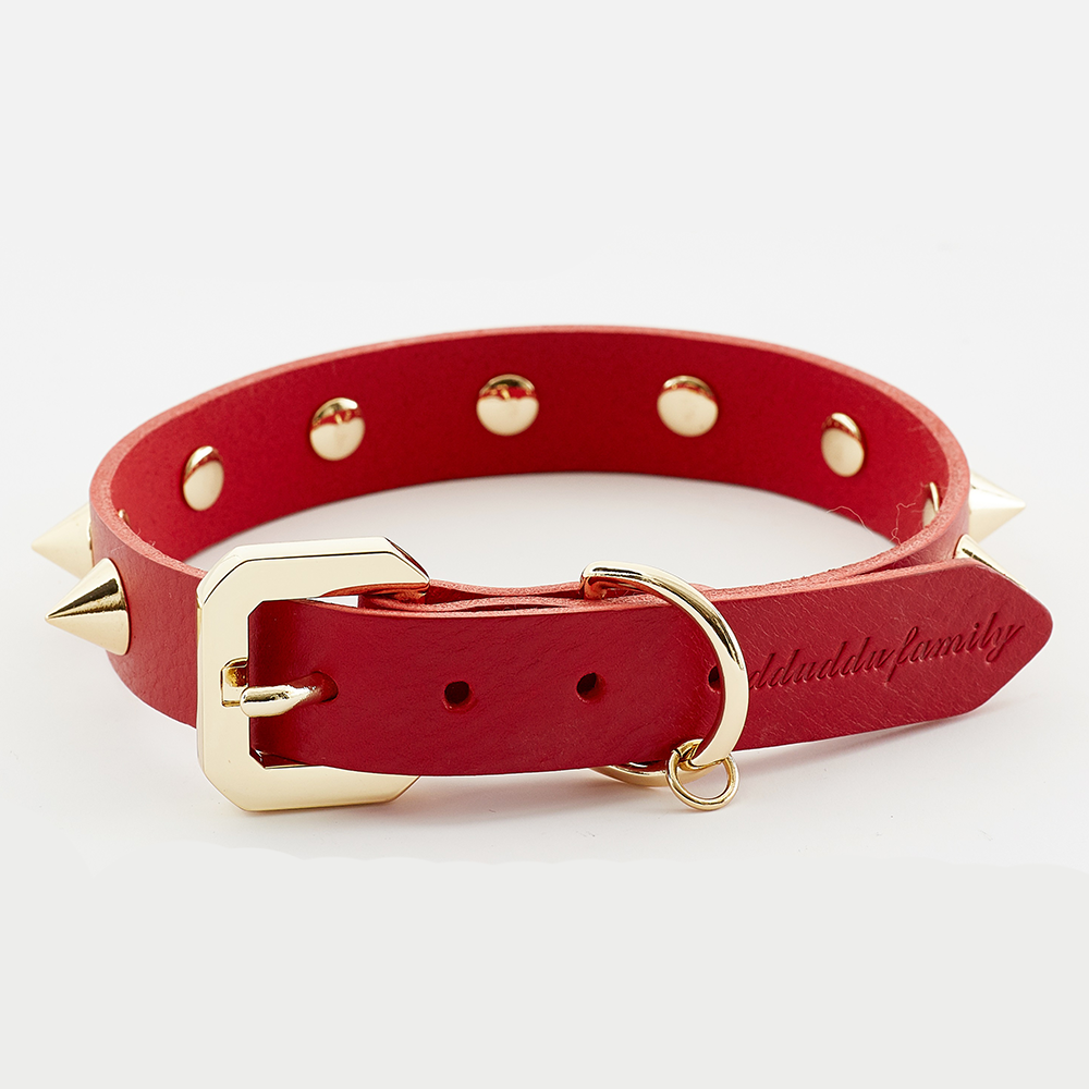 Gold spiked dog sales collar