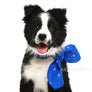 Marine Blue Form-Scarf
