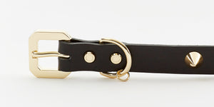 Premium Leather Dog Collar