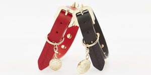 Premium Leather Dog Collar