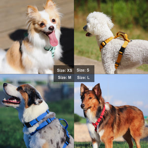 Lof H-type Dog Harness