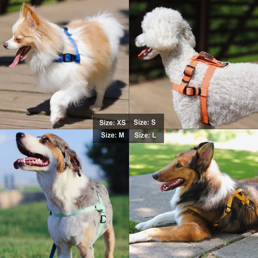 Lof Dog Training Harness