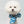 Goose Foam-Scarf